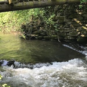 Meet your Posher, Chad